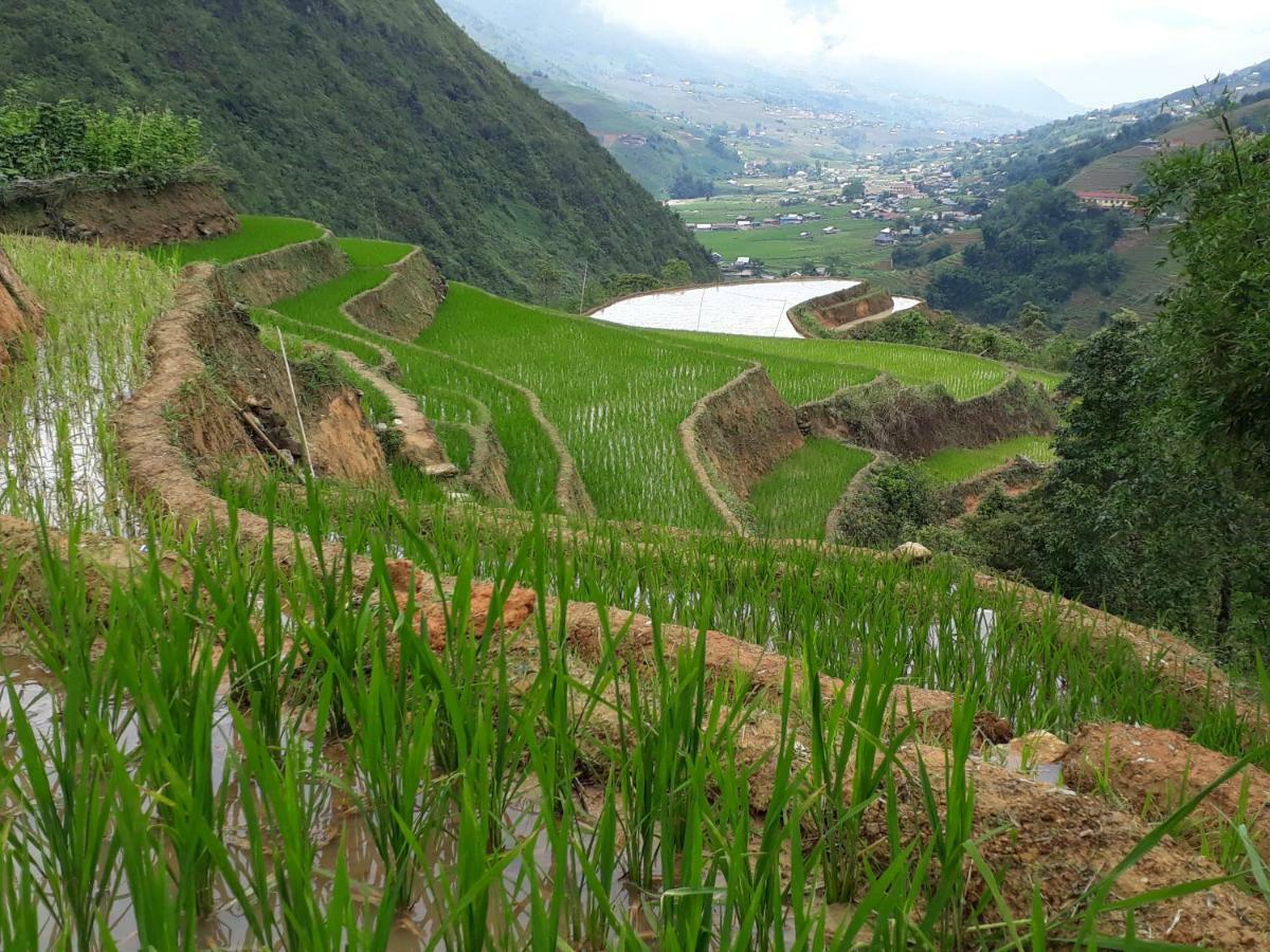Organic Farm Homestay Sapa Eksteriør billede