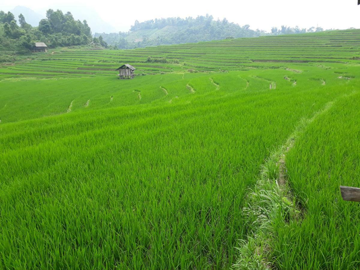 Organic Farm Homestay Sapa Eksteriør billede